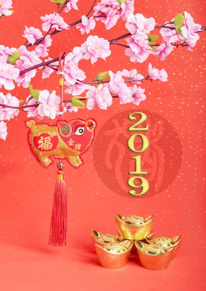 Παράδοση Κινεζική Πανί Κούκλα Χοίρου 2019 Έτος Του Χοίρου Κινεζικών — Φωτογραφία Αρχείου