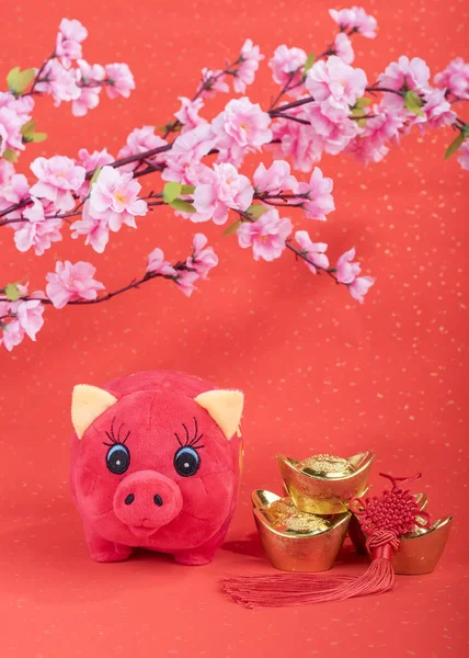 Tradição Chinês Pano Boneca Porco 2019 Ano Porco Caracteres Chineses — Fotografia de Stock