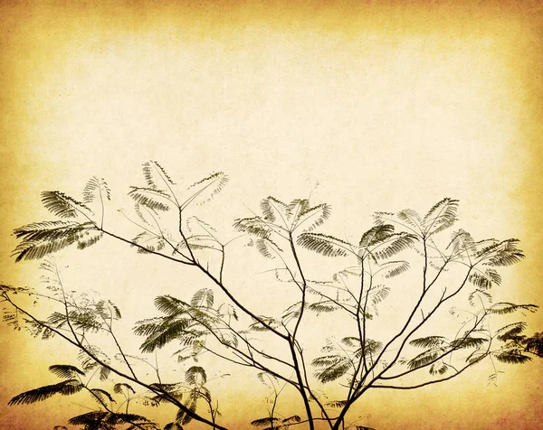Löv Träd Med Gamla Grunge Antik Papper Textur — Stockfoto