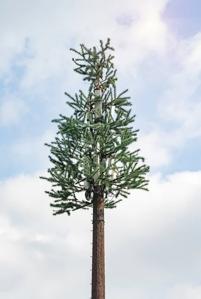 Cell Phone Tower Disguised Tree — Stock Photo, Image