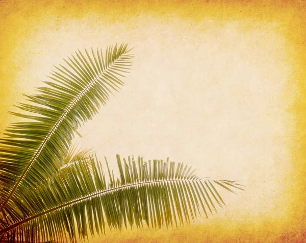 Palmiye Yapraklı Eski Kağıt Arkaplan — Stok fotoğraf