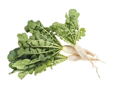 Beyaz arkaplanda izole edilmiş taze beyaz turp