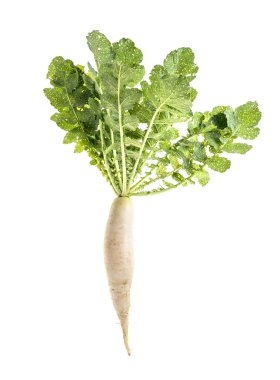 Beyaz arkaplanda izole edilmiş taze beyaz turp