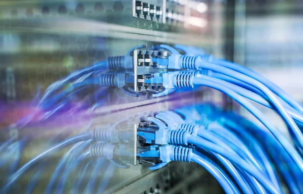 Nätverkskablar Och Ethernet Kablar Data Center Concept — Stockfoto