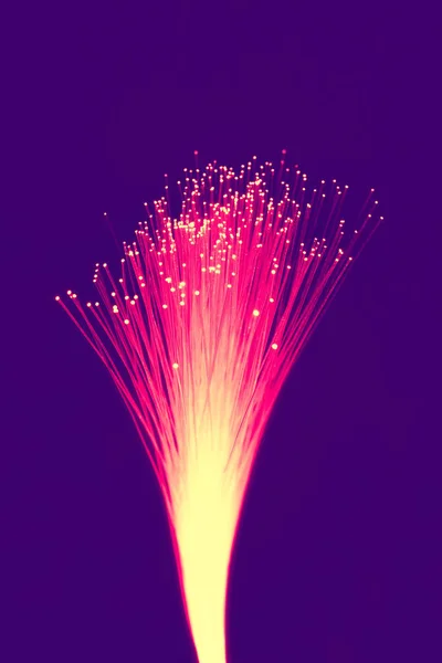 Fiber optic zobrazení data nebo internetové komunikační koncept — Stock fotografie