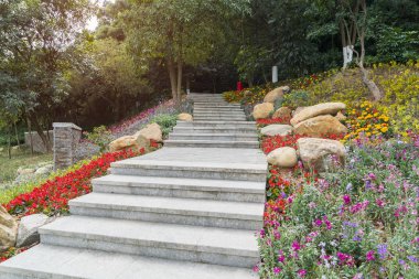 Bahçede çiçeklerle dolan patika