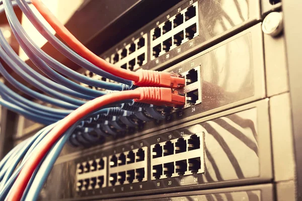 Kabel Ethernet w sieci przełącza tło — Zdjęcie stockowe