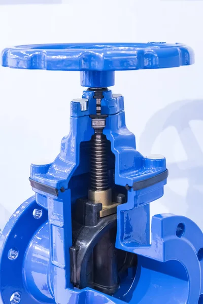 Válvula giratoria de tipo azul — Foto de Stock