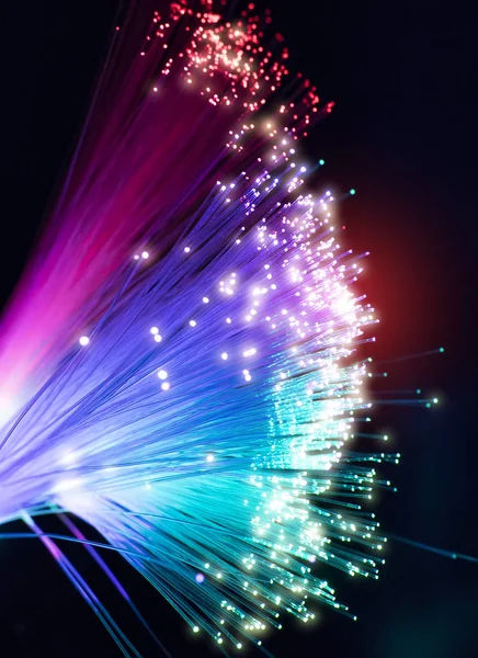 Fiber optik ağ kablo ışıkları soyut arka plan