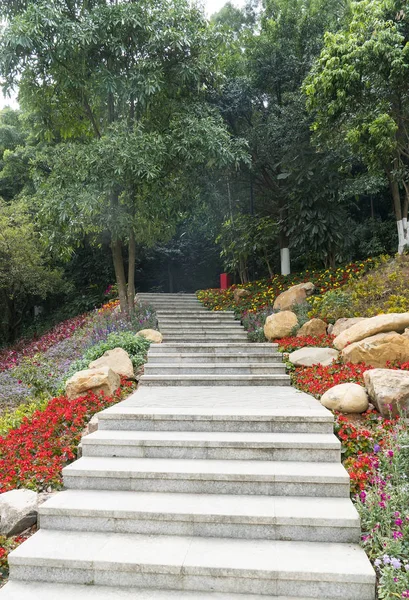 Pathway winding in garden with flowers — Stock Photo, Image