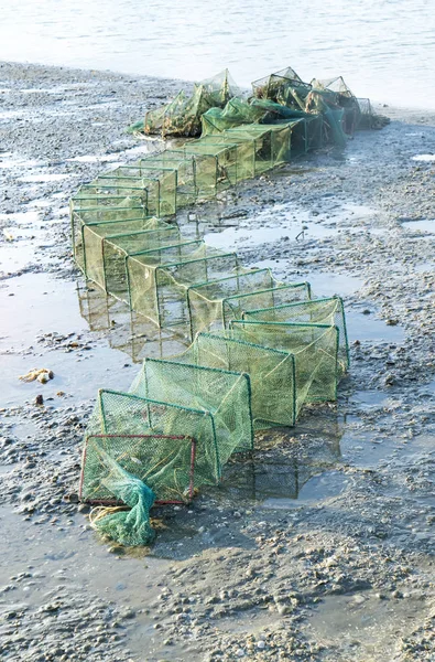 Crab cage with foam on beach Royalty Free Stock Photos