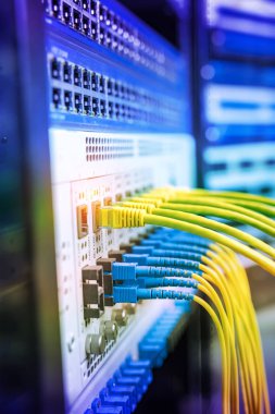 Fiber optik kabloların bağlı bir optik bağlantı noktaları ve ağ kablosu