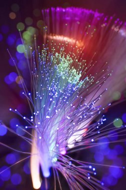 fiber optik ağ kablosu