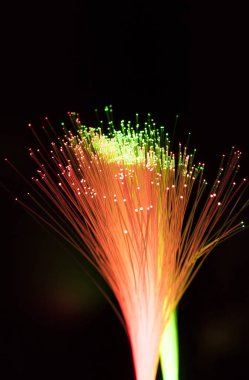 fiber optik ağ kablosu