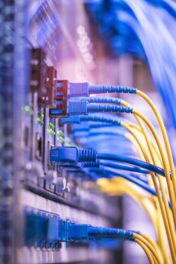 Fiber optik kabloların bağlı bir optik bağlantı noktaları ve ağ kablosu