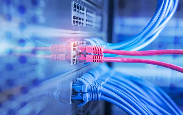 Cables de red azules y rojos conectados al conmutador en el centro de datos —  Fotos de Stock