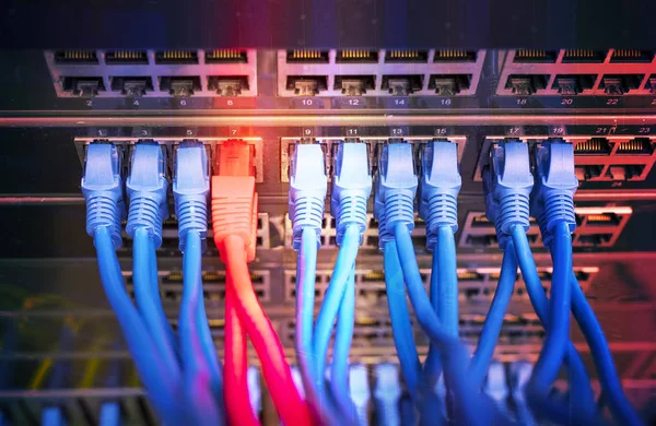 Blå och röda nätverkskablar anslutna till switch i datacenter — Stockfoto