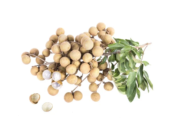 Longan sobre el fondo blanco — Foto de Stock