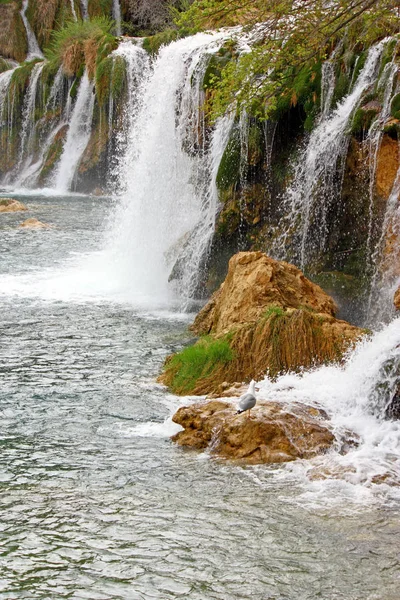 Parque Nacional Krka Cascada Río Krka Croacia — Foto de Stock