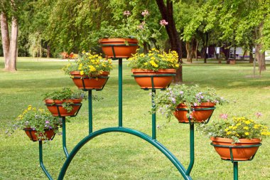 Bir parkta çiçek dekorasyon