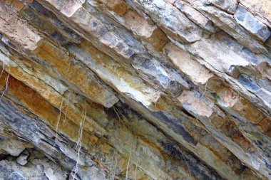 Doğal kayrak arka plan, portre