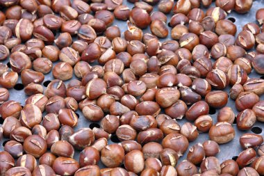 Kavrulmuş kestane bir tavada, yakın çekim