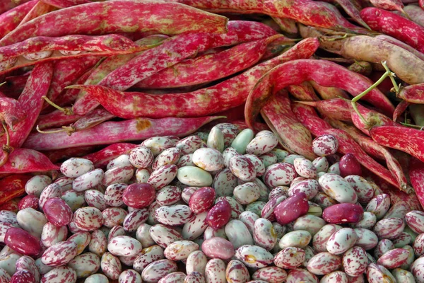 一般的な豆 インゲン ベジタリアン フード — ストック写真