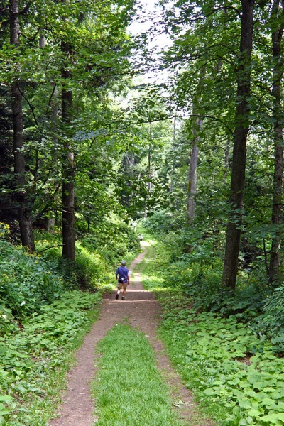 Medvednica Chorwacja Sierpnia 2009 Szlak Górski Górze Medvednica Chorwacja — Zdjęcie stockowe