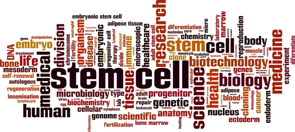 幹細胞ワードクラウドの概念は 白い背景に分離されています ベクトルイラスト — ストックベクタ