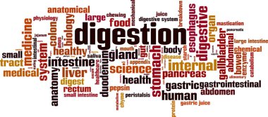 Beyaz poster illüstrasyon üzerinde sindirim harfleri