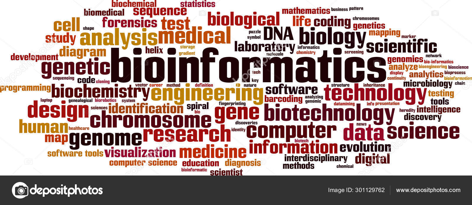 bioinform-tica-palabra-nube-concepto-collage-hecho-palabras-sobre
