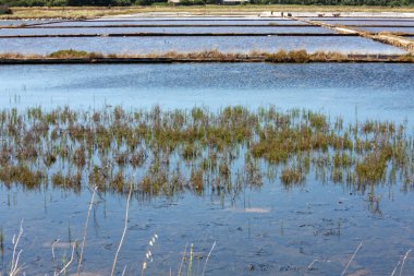 Tuz üreten lagün, Nin