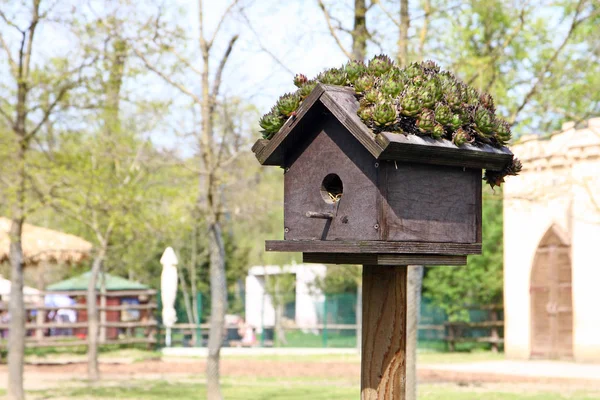 Mały Drewniany Domek Dla Ptaków Ogrodzie — Zdjęcie stockowe