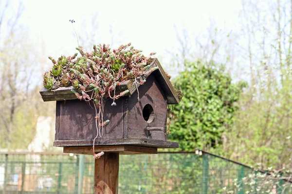 Kleines Hölzernes Vogelhaus Garten — Stockfoto