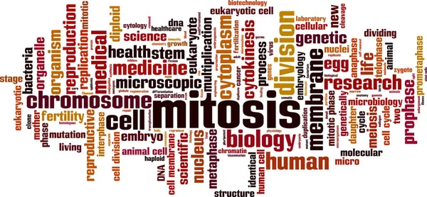 核分裂ストックベクター ロイヤリティフリー核分裂イラスト Depositphotos