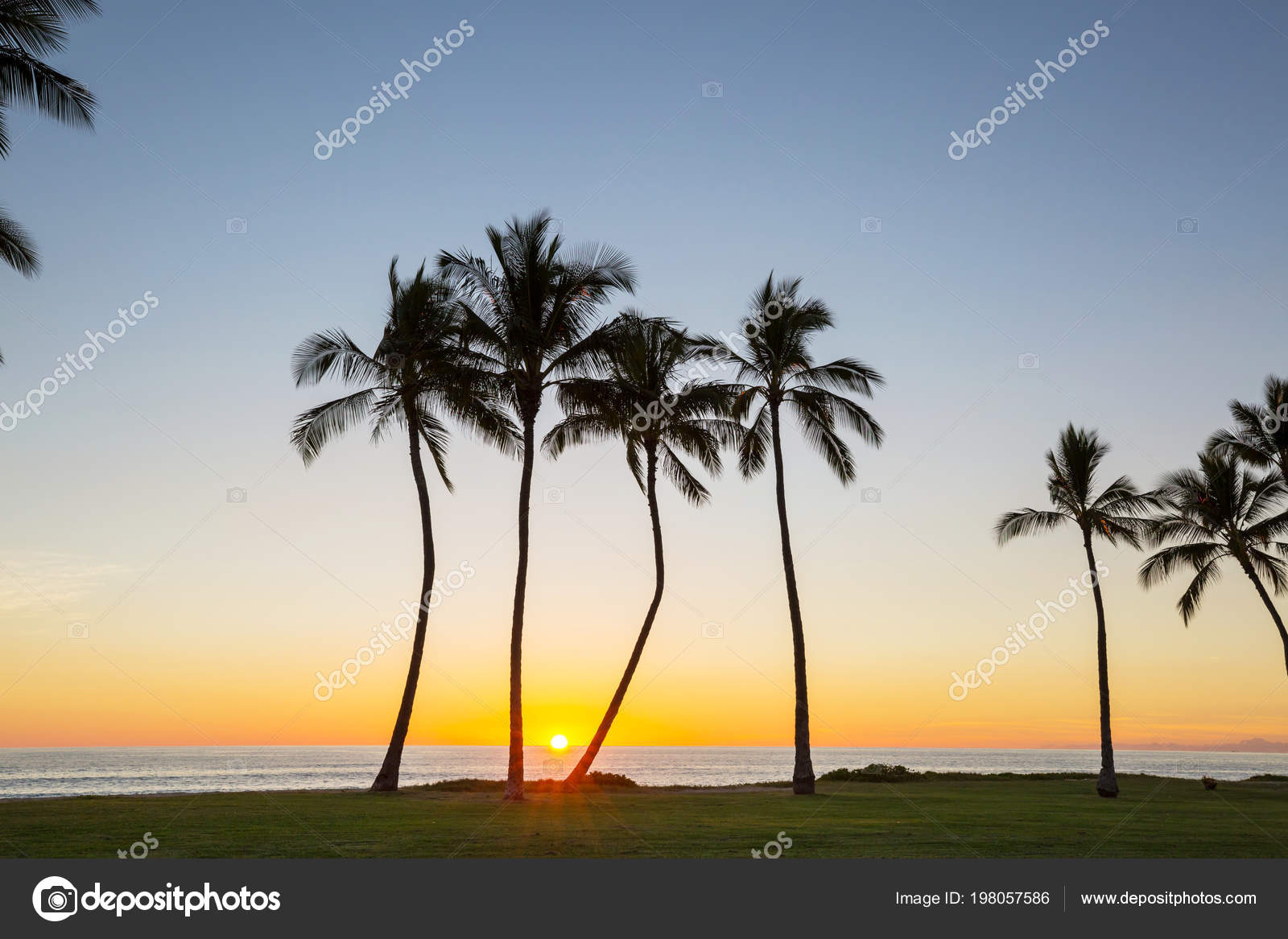 Très Belle Scène Dans Coucher Soleil Hawaïen Photographie