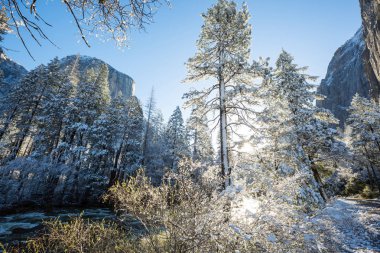 Güzel erken Bahar manzaraları Yosemite Milli Parkı'nda, Yosemite, ABD