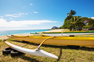 Outrigger Kano Hawaii plajda