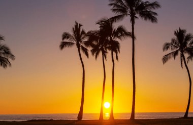 Hawaii günbatımında güzel bir sahne
