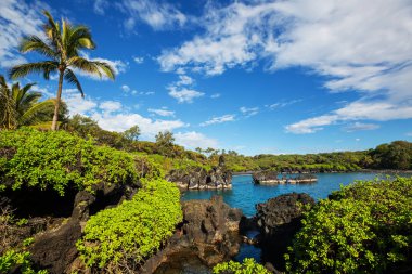 Beautiful tropical landscapes on Maui island, Hawaii clipart