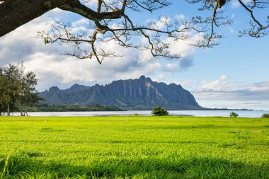 Hawaii, Oahu adasındaki güzel manzaralar.