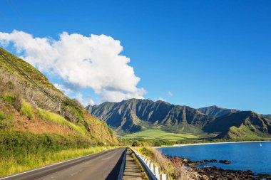 Hawaii, Oahu adasındaki güzel manzaralar.