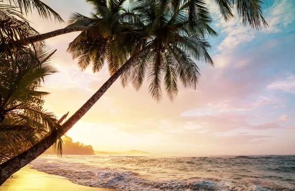 Prachtige Tropische Stille Oceaan Kust Costa Rica — Stockfoto