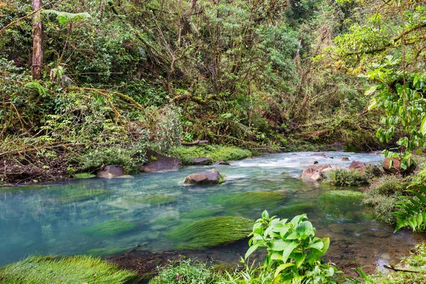 Hermosa Corriente Agua Que Fluye Selva Tropical Costa Rica América — Foto de Stock