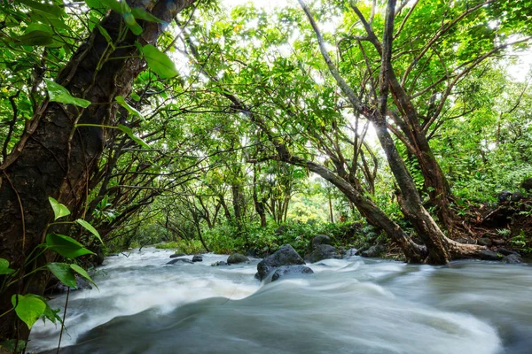 Hermosa Corriente Agua Que Fluye Selva Tropical Costa Rica América — Foto de Stock