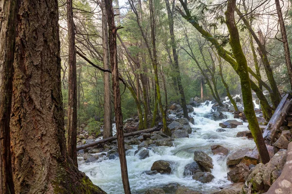 Beaux Paysages Début Printemps Dans Parc National Yosemite Yosemite États — Photo