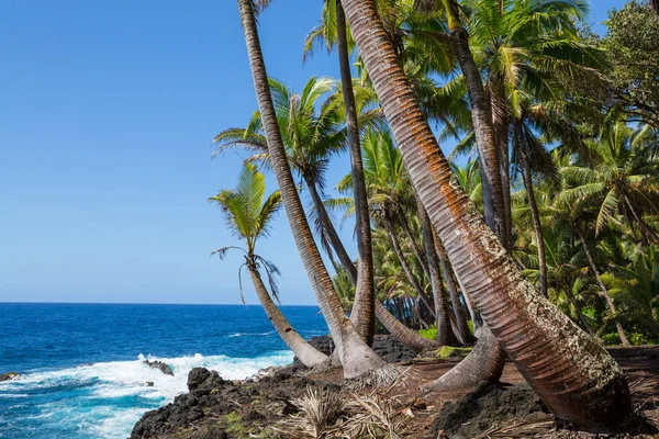 Hawaiian Stranden Natur Natursköna Utsikten — Stockfoto