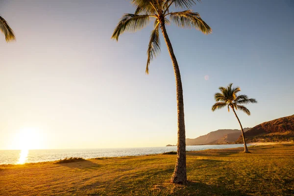 Hawaiian Stranden Natur Natursköna Utsikten — Stockfoto