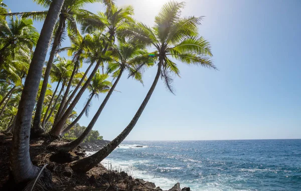 令人惊叹的夏威夷海滩自然风光景观 — 图库照片