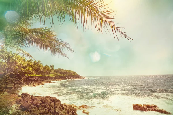 Increíble Playa Hawaiana Naturaleza Vista Panorámica — Foto de Stock